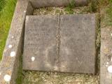image of grave number 648031